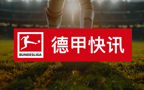 希茨尔斯佩格呼吁德国足协争取特雷索尔迪效力